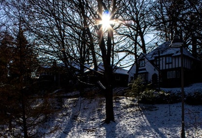 Sun breaking through winter trees by Etobicoke real estate